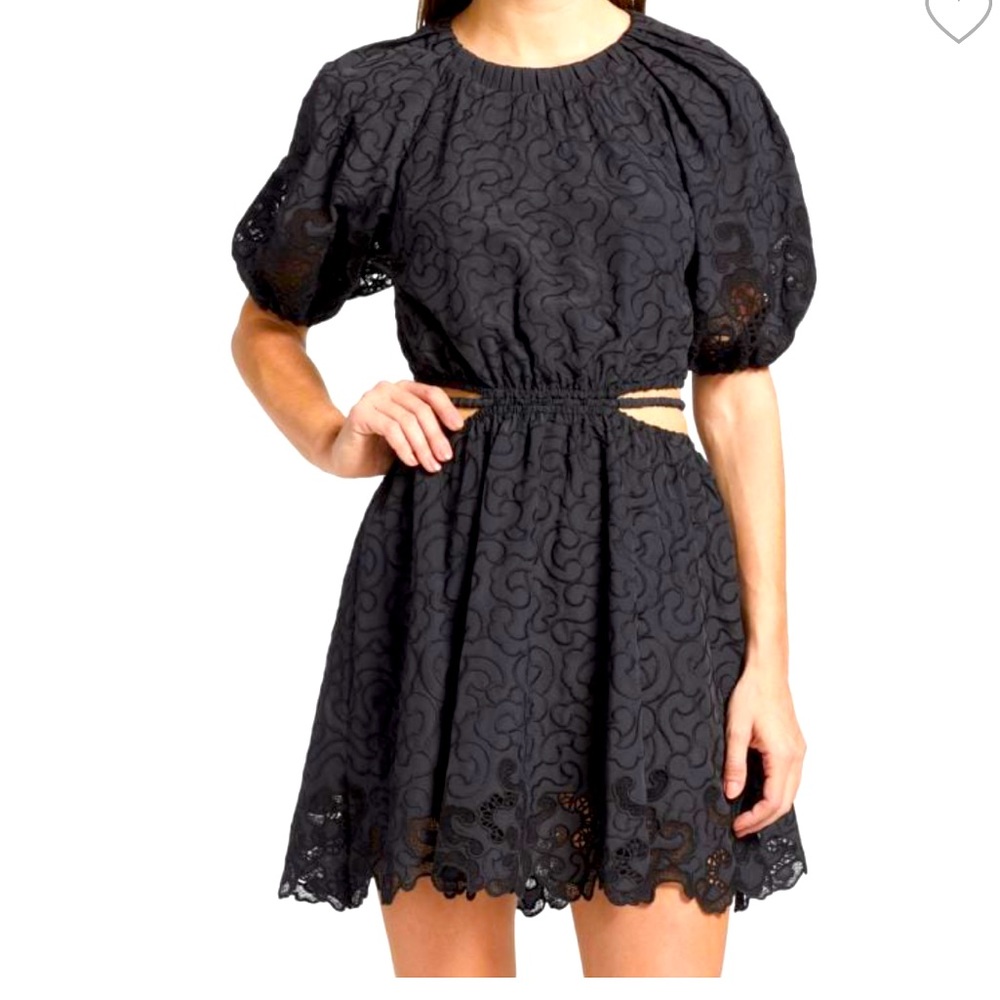 Jonathon Simkhai Beautiful Black Dress Embroidered NWT